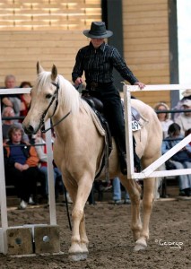 Obrazek
