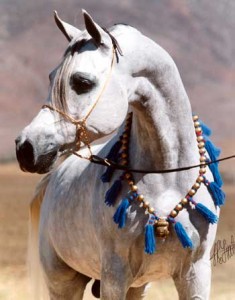 Obrazek